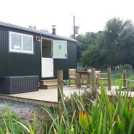 Shepherds Hut On Cornish Smallholding Hotel Penzance Eksteriør billede