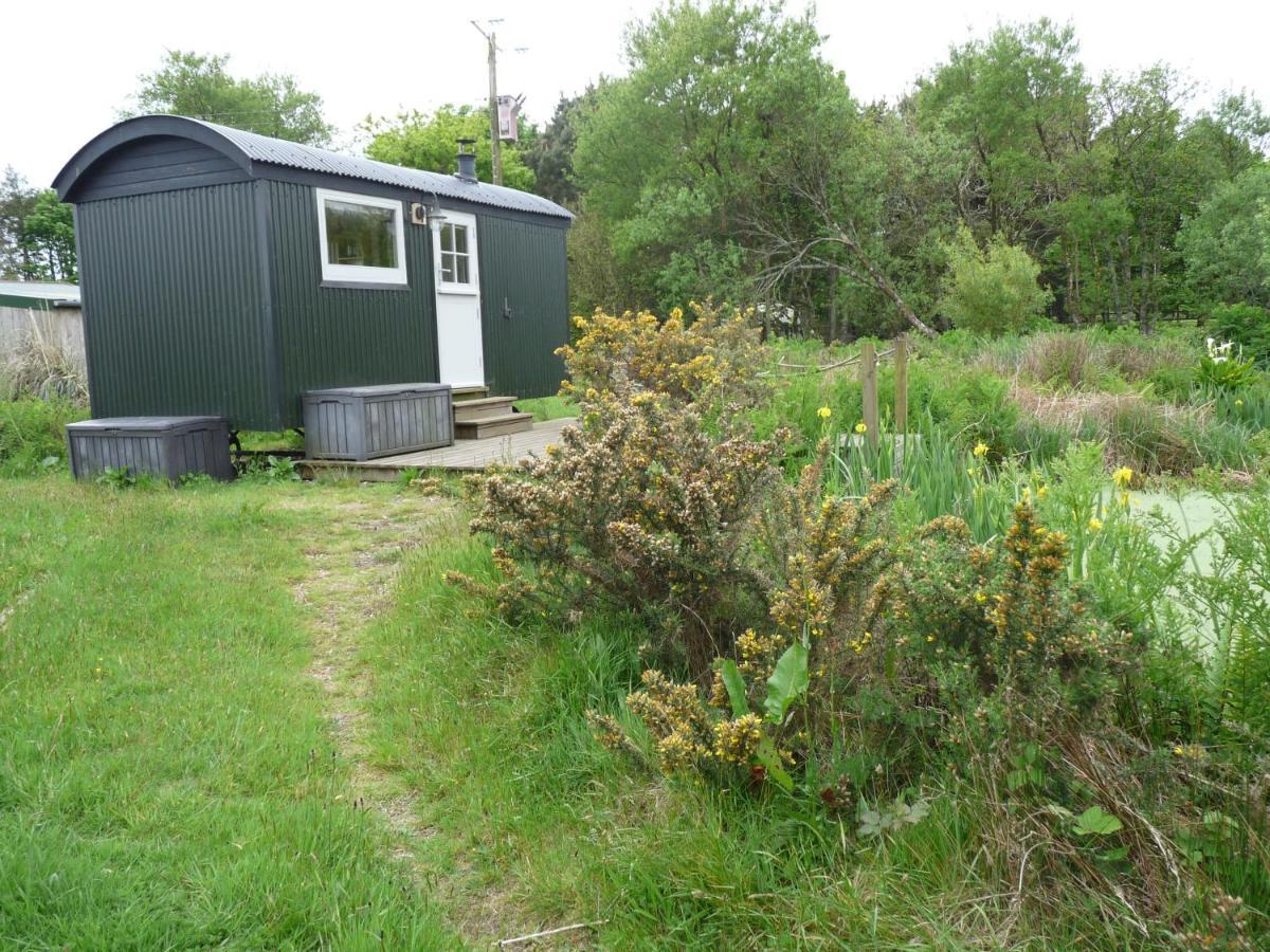 Shepherds Hut On Cornish Smallholding Hotel Penzance Eksteriør billede