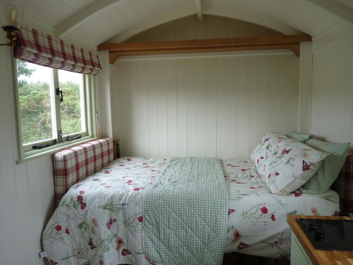 Shepherds Hut On Cornish Smallholding Hotel Penzance Eksteriør billede