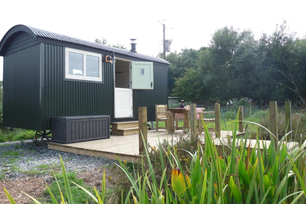 Shepherds Hut On Cornish Smallholding Hotel Penzance Eksteriør billede