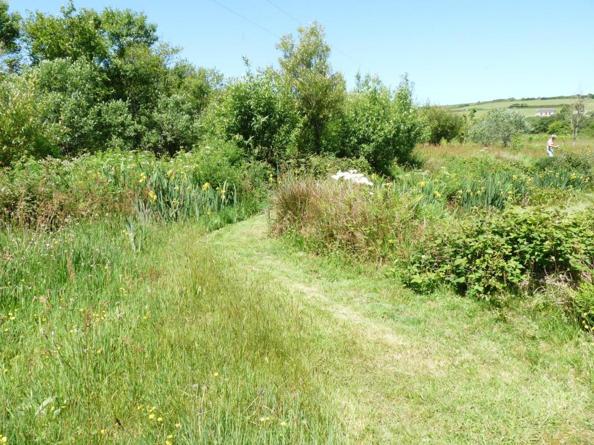 Shepherds Hut On Cornish Smallholding Hotel Penzance Eksteriør billede