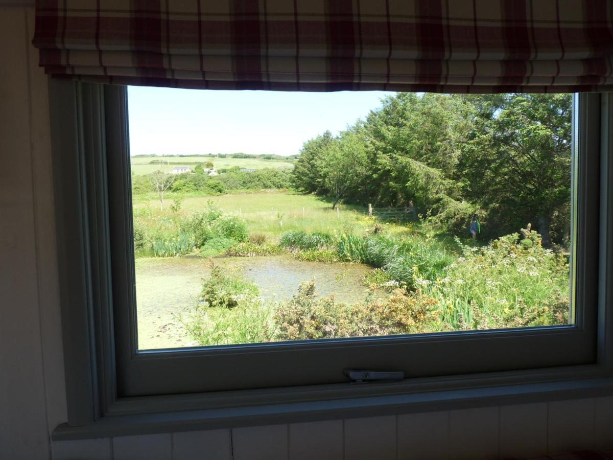 Shepherds Hut On Cornish Smallholding Hotel Penzance Eksteriør billede