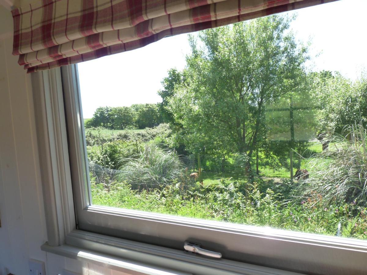 Shepherds Hut On Cornish Smallholding Hotel Penzance Eksteriør billede